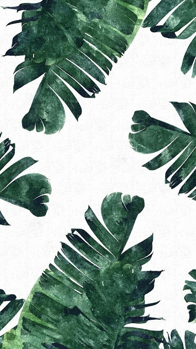 leaves