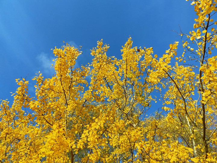 sky