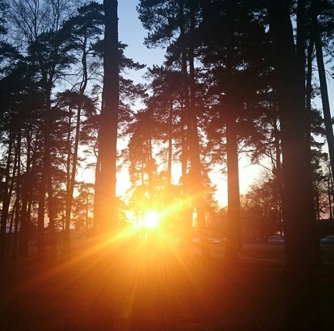 Glorious sunset
