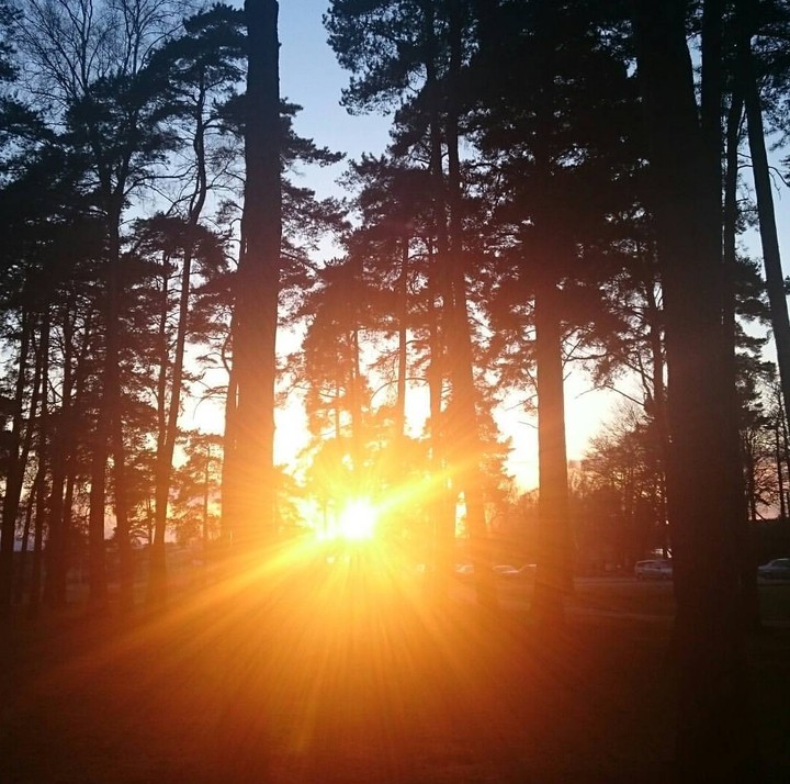 Glorious sunset