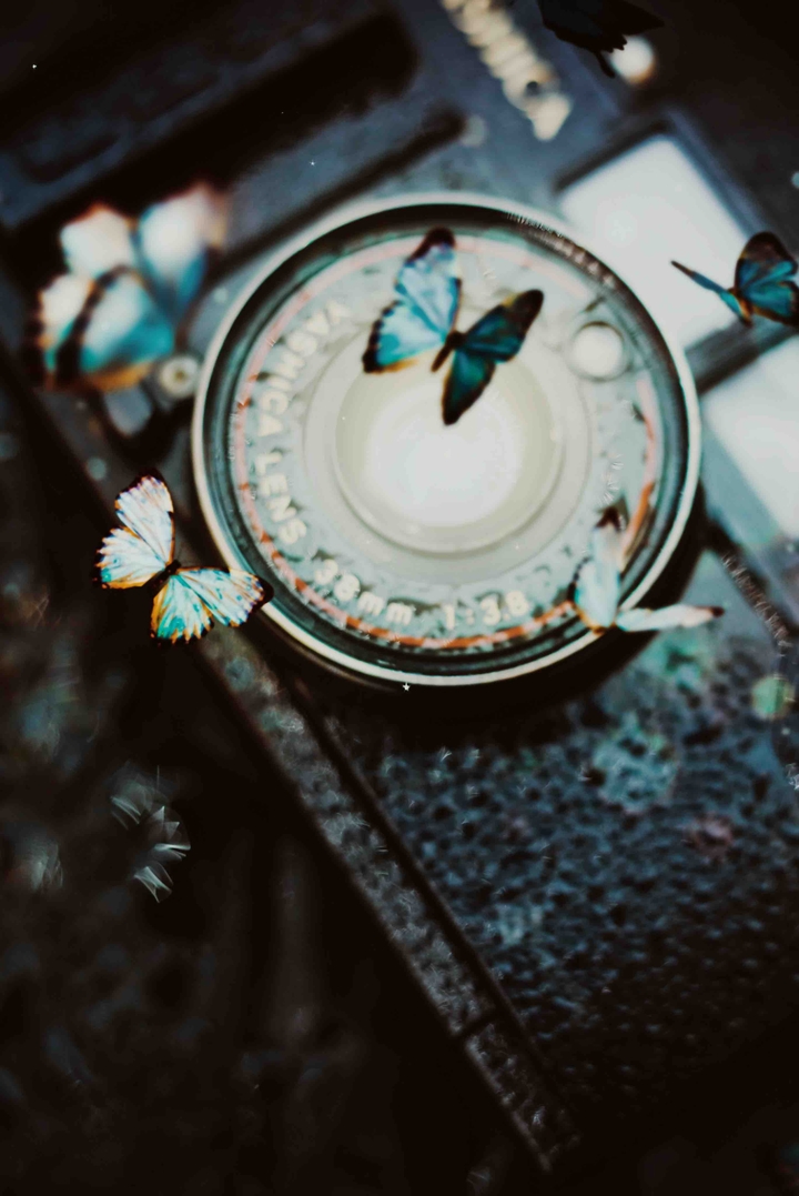 vintage
