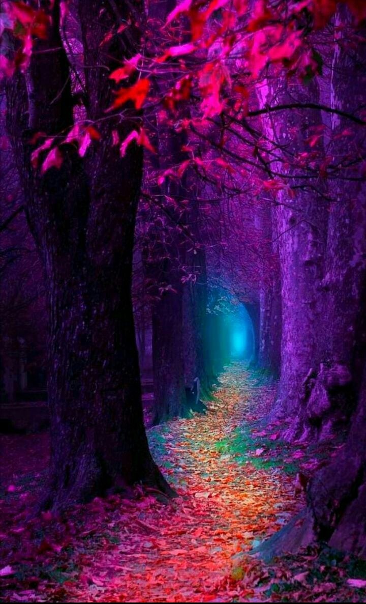 gate to heaven