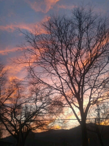 good day