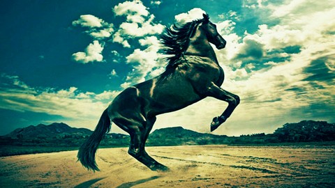 horse, organism achtergronden