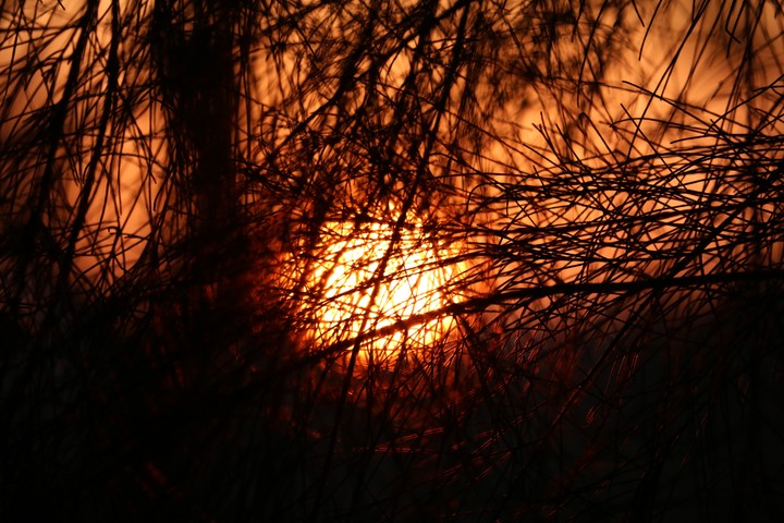 nature sunset