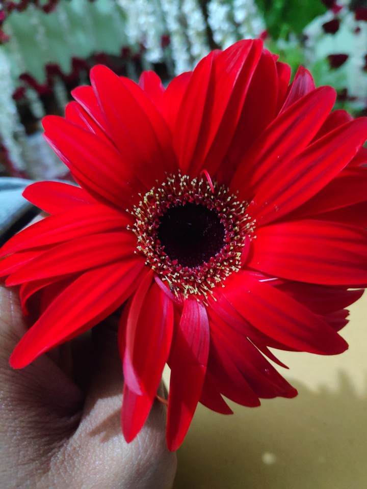 flower