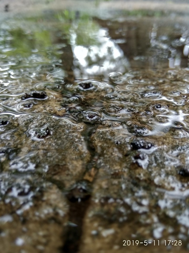 Дождь, вода