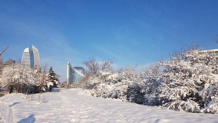 Winter