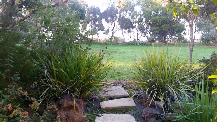 Up the Garden Path