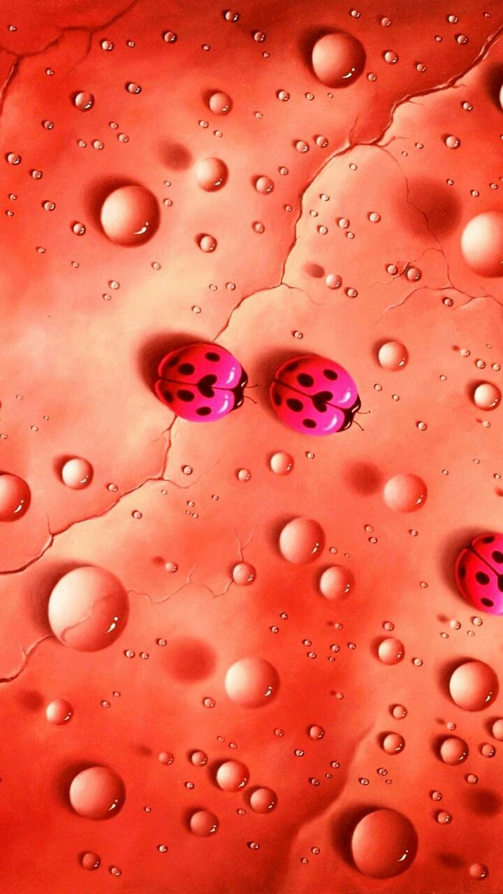 Hd wallpaper