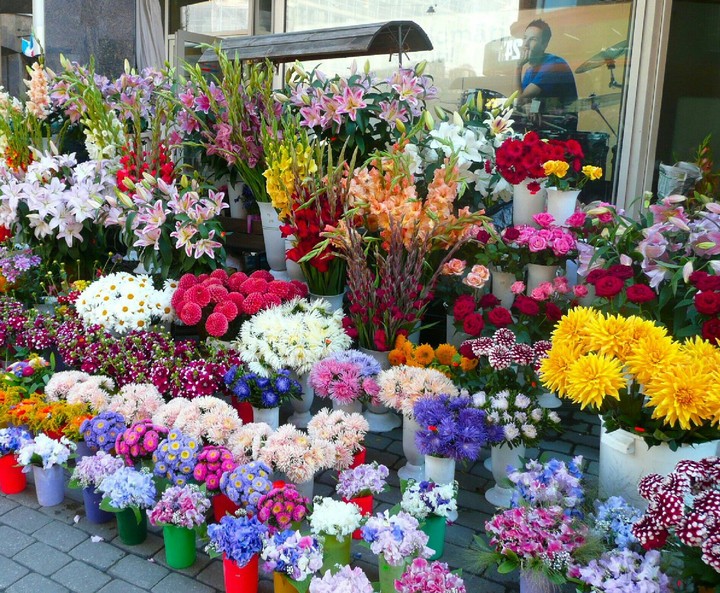 Pretty flower shop