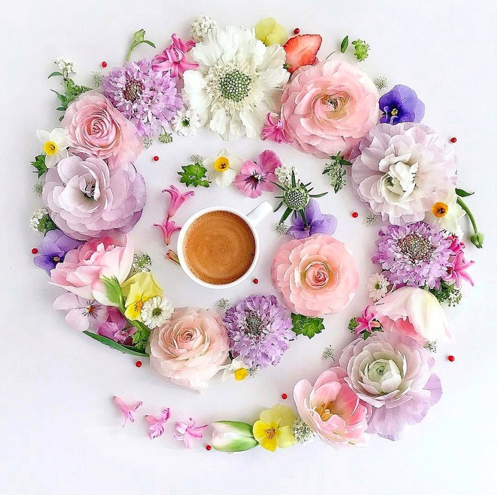 Good morning ❤️