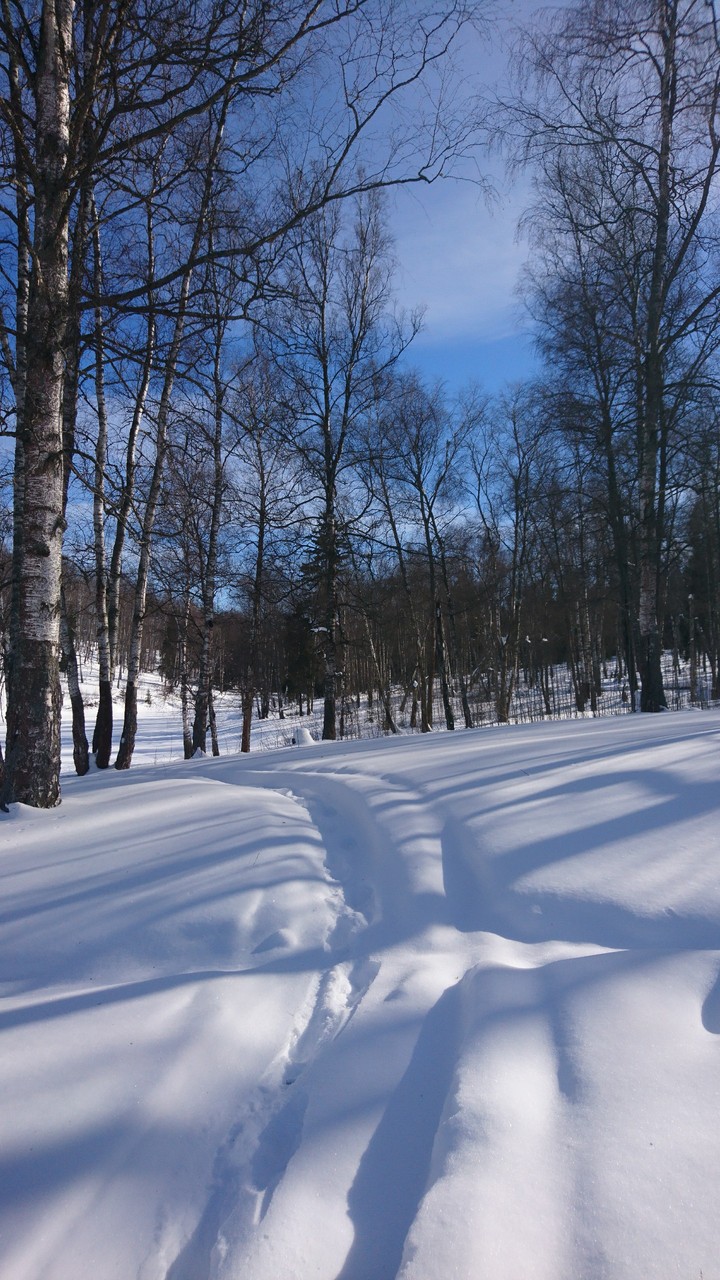 Sunny winter day