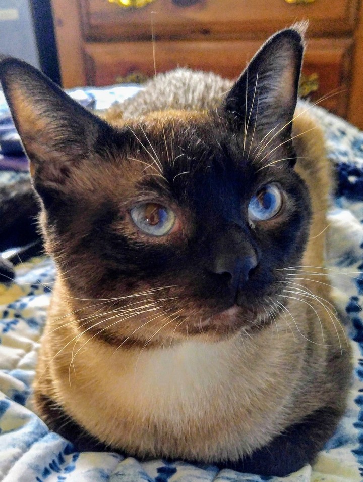 Baby is his name