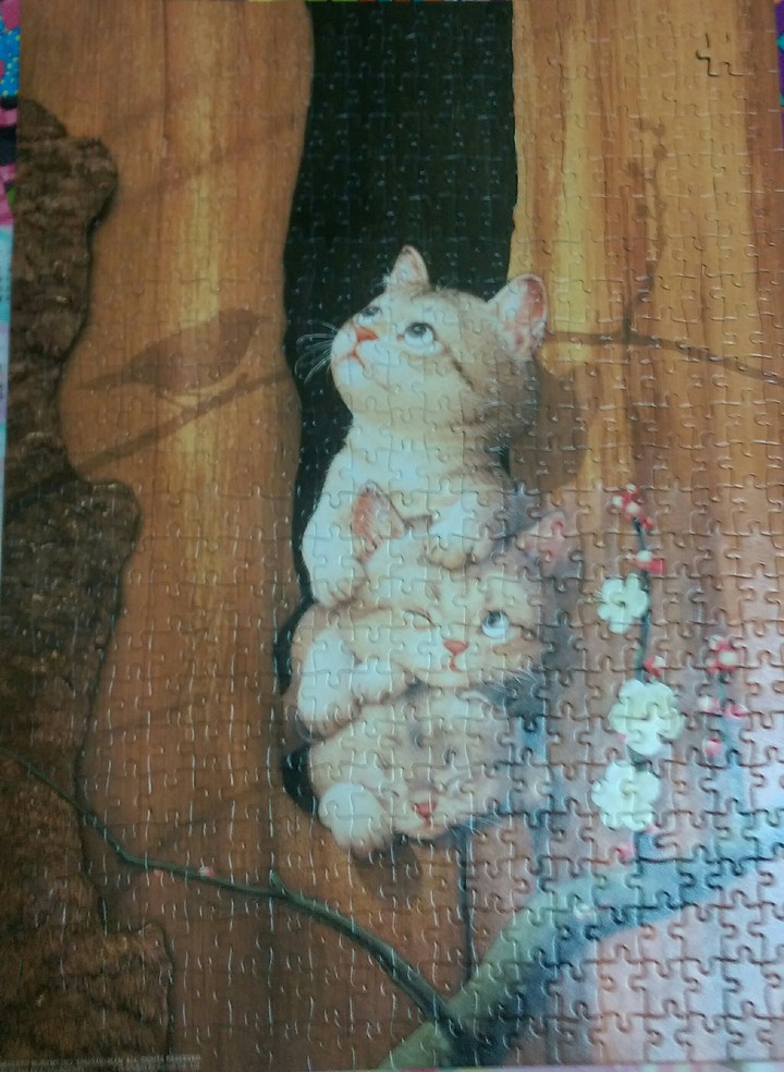貓咪拼圖
