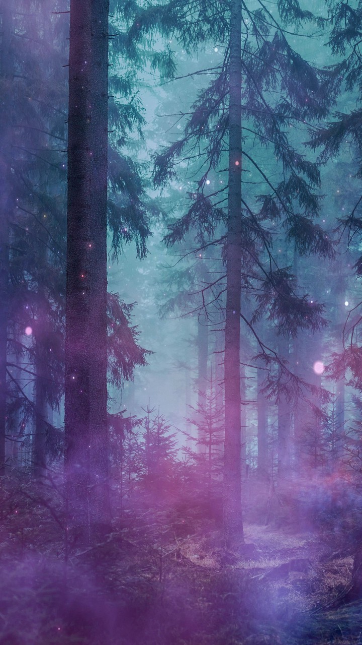 Wallpaper