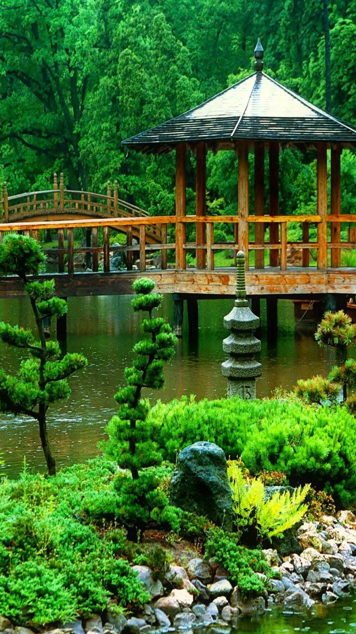 beautiful garden