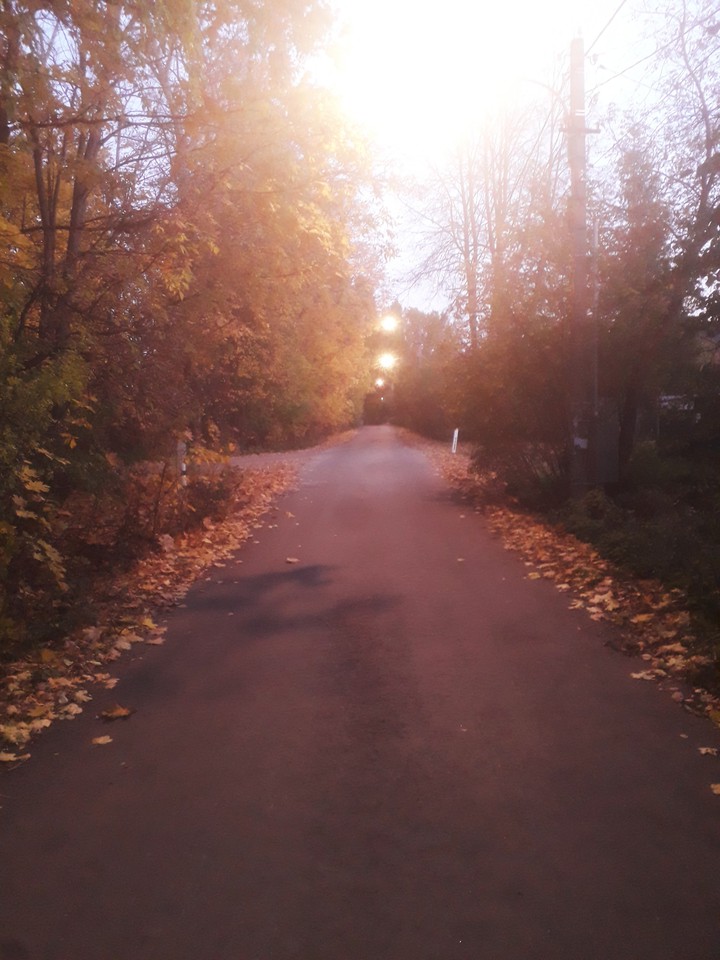 прогулка