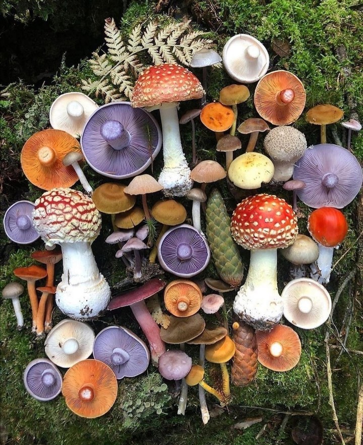Colourfull