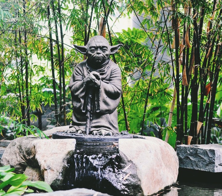 Star Wars: Master Jedi Yoda