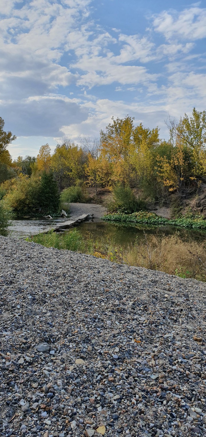 осень
