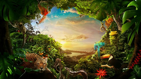 nature, 森林桌布