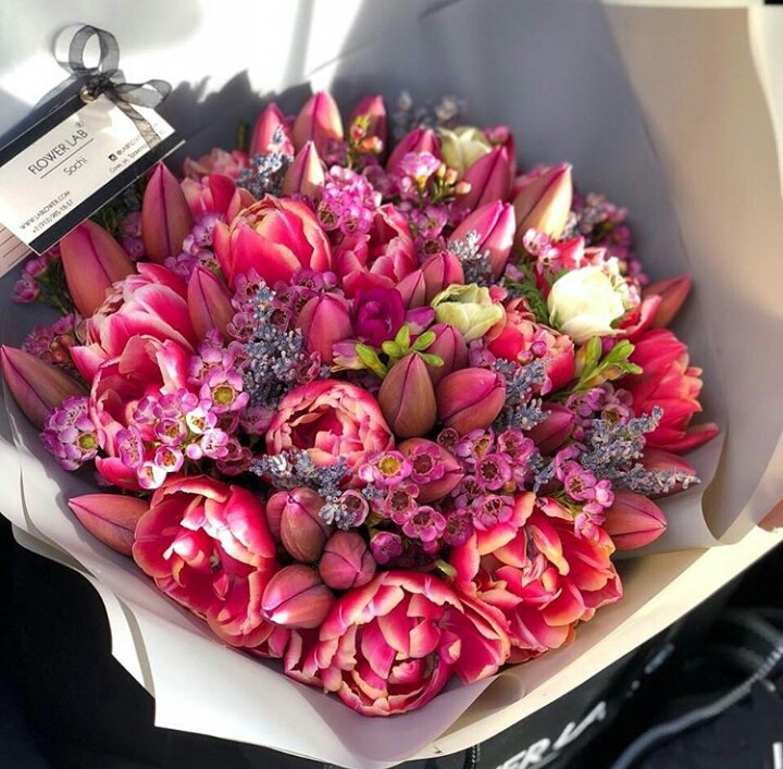 fleurs