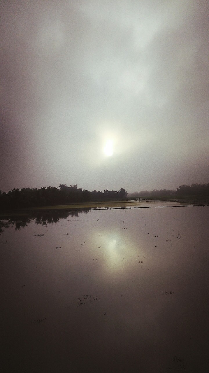 Foggy Reflection