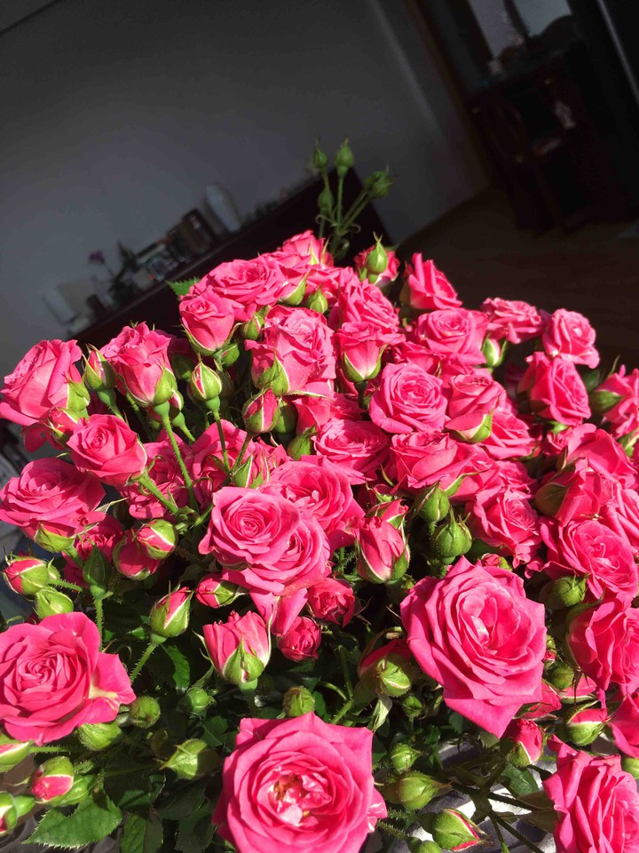 roses