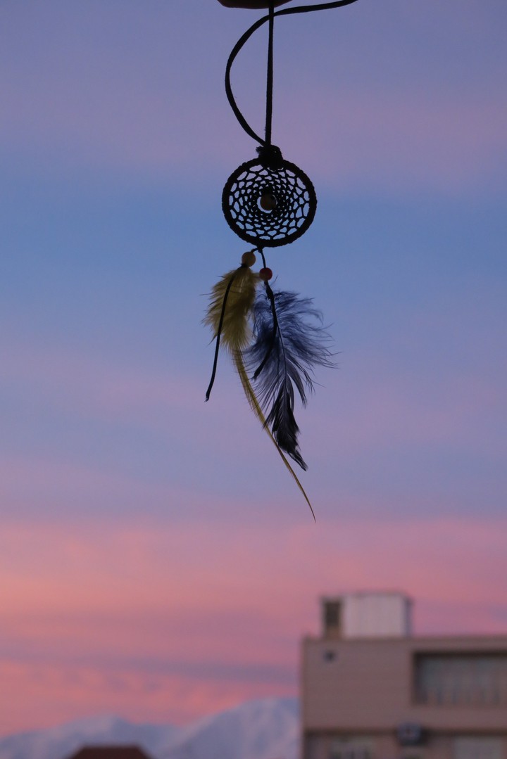 Dream