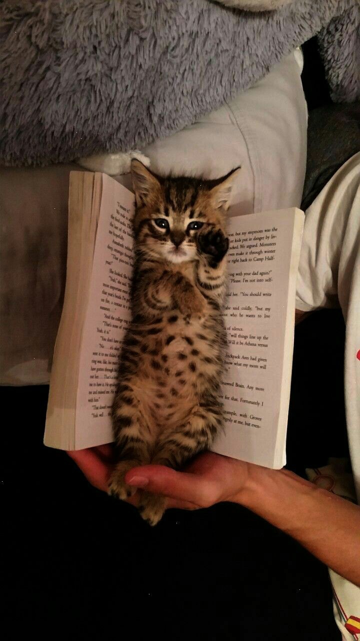 ❤❤❤