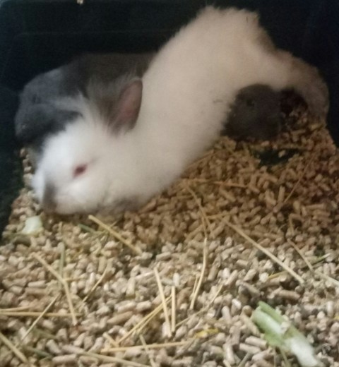 its time to sleep