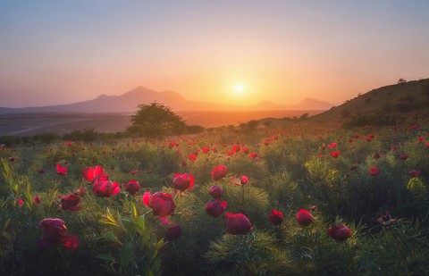 Beautiful Landscape.