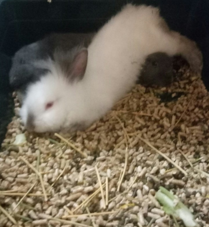 its time to sleep
