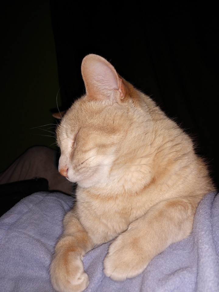 La paz de dormir