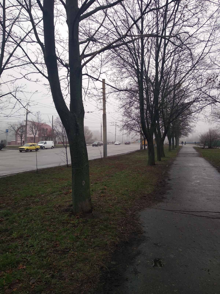 Поздняя осень