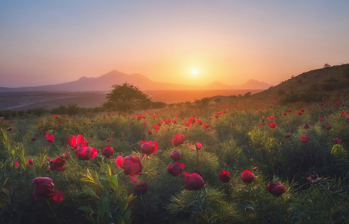 Beautiful Landscape.