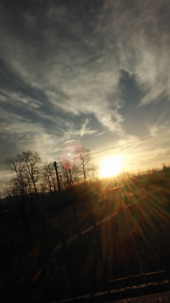 The sun