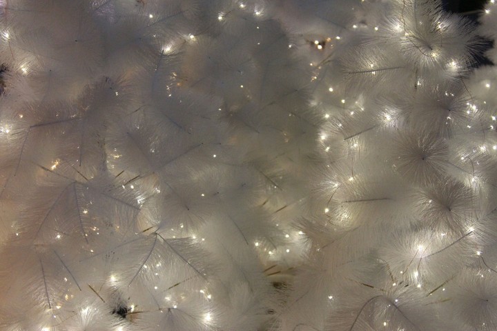 New year