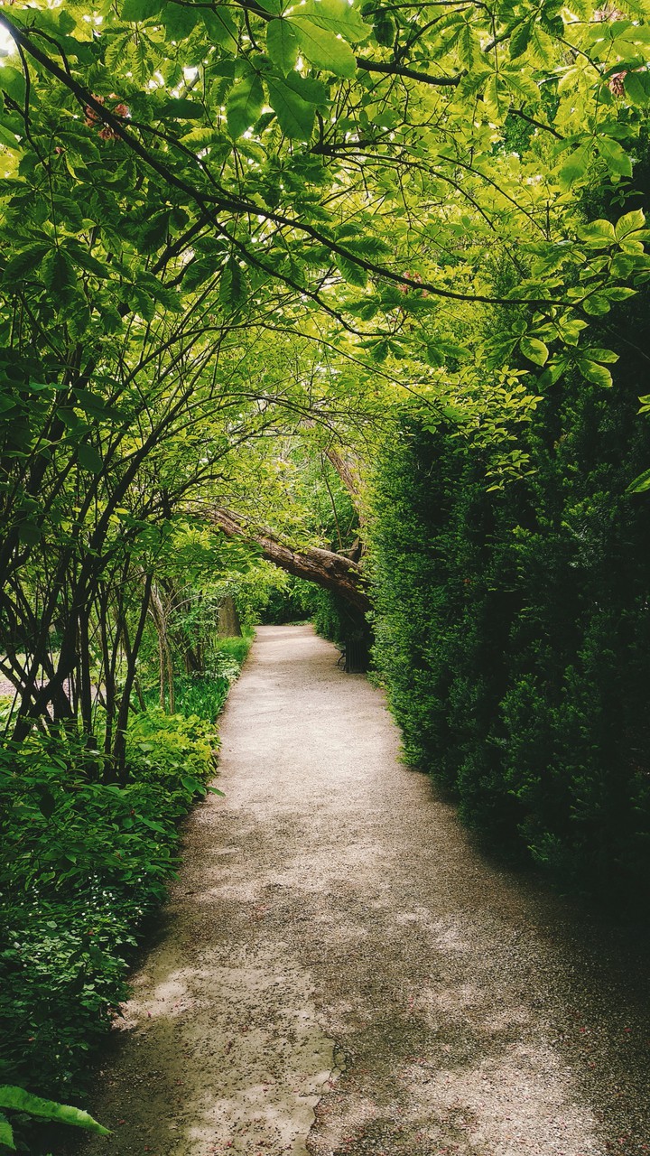 green trail