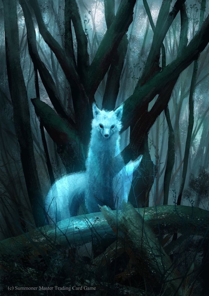 Fox