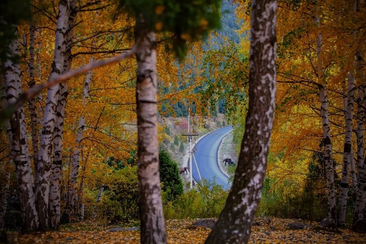 Autumn time
