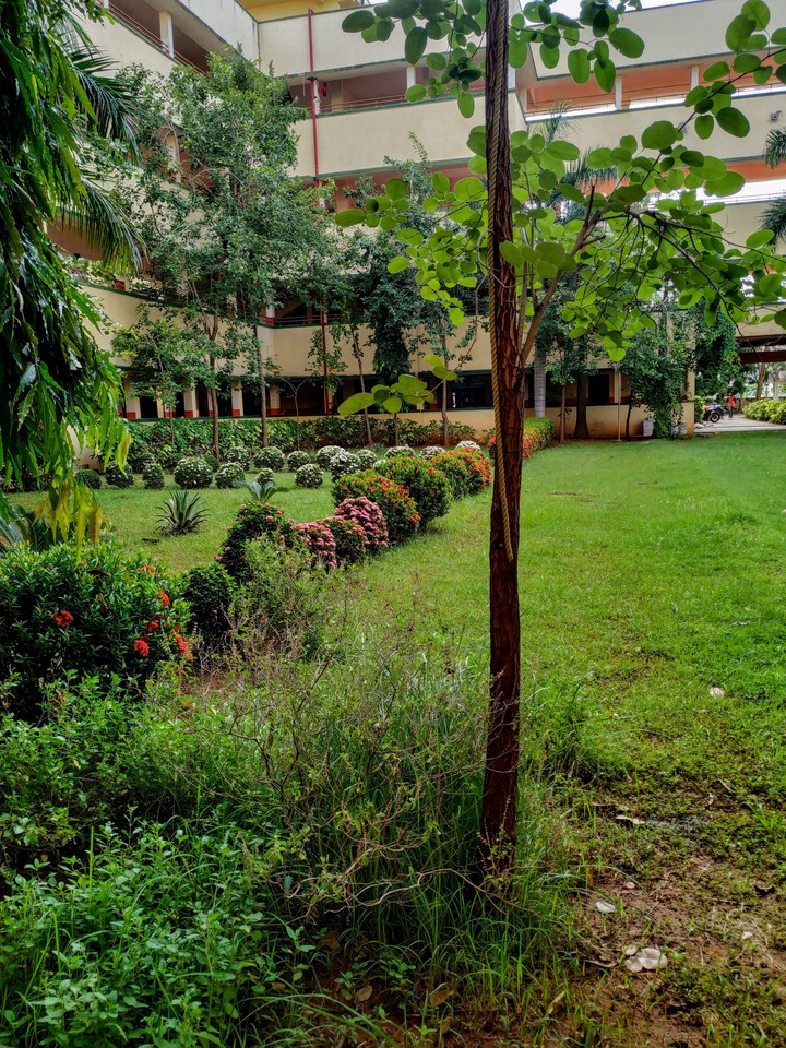 GARDENS