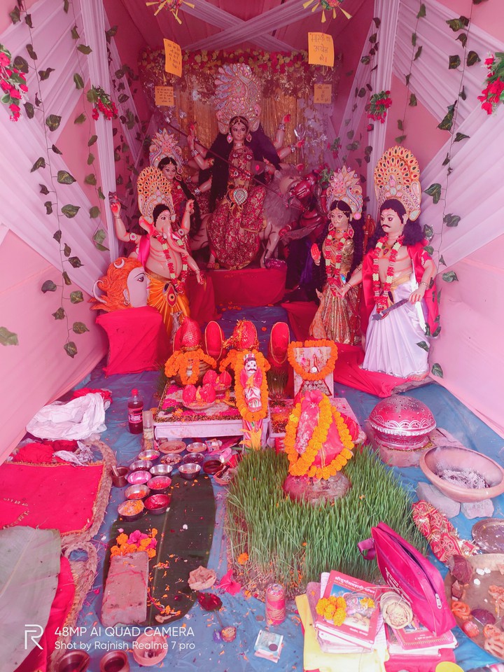 MAA