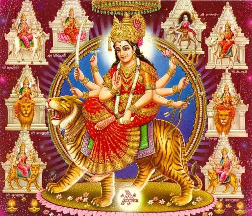 MAA