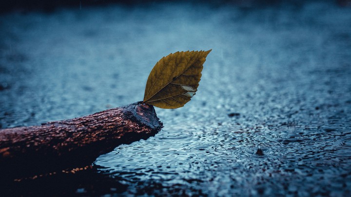 Hope