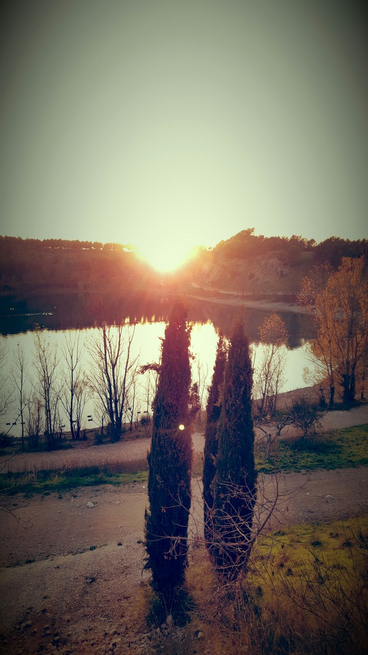 sunset
