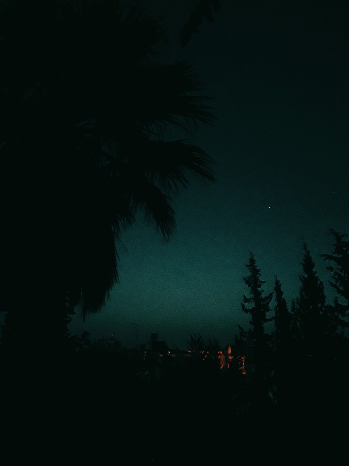 A tree, a star