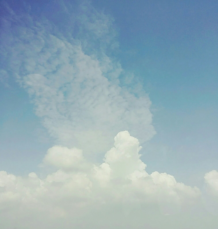 wing