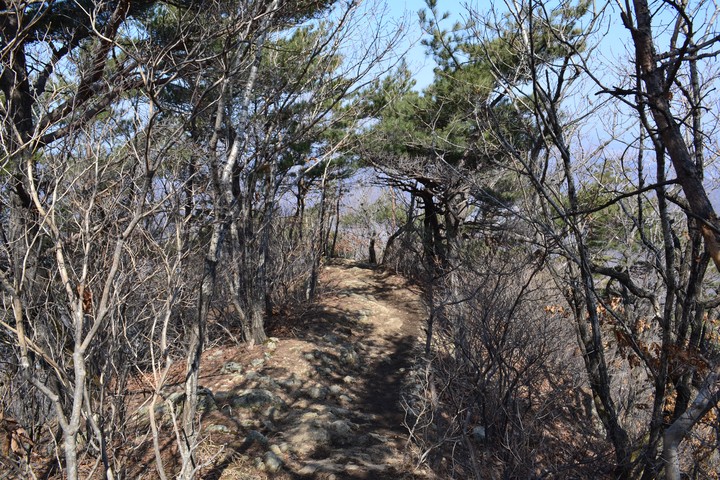 풍경이미지